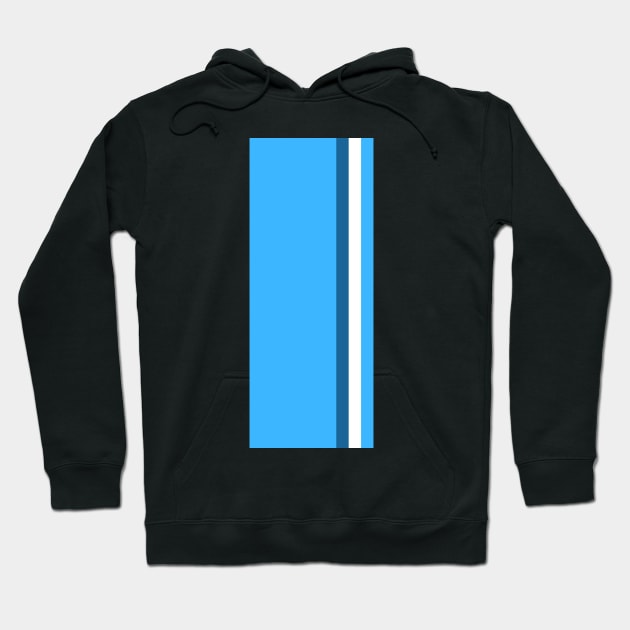 Williams Racing Stripes Hoodie by GreazyL